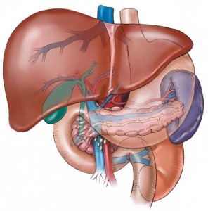 Cirurgia Hepatobiliar